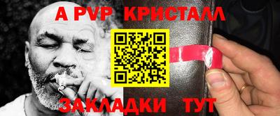 бошки Тверь