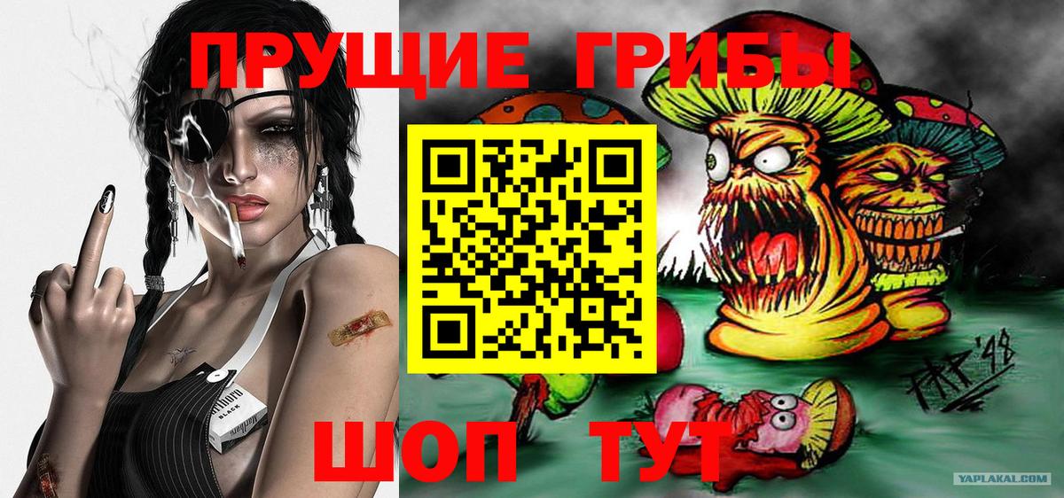 Псилоцибиновые грибы Magic Shrooms  Псилоцибиновые грибы Magic Shrooms  что такое наркотик  Вход с VPN  Бердск 