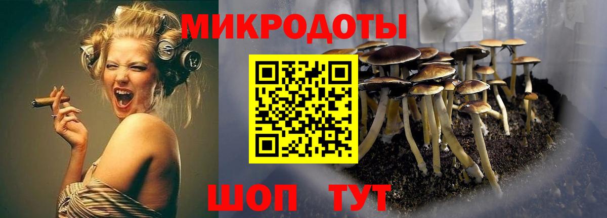 Псилоцибиновые грибы ЛСД Бердск